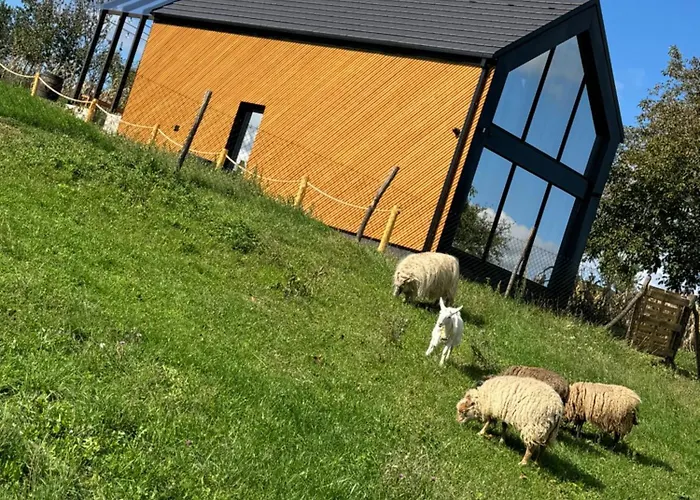 Stodola U Frantiska 度假居 Dolní Bojanovice